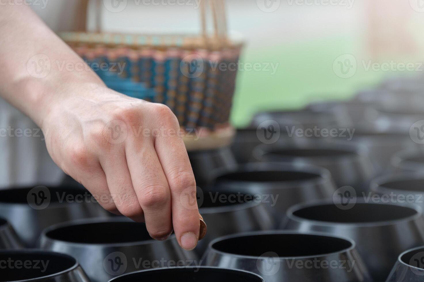 Close up of someone hand giving money coin for donation in Buddhist temple. photo