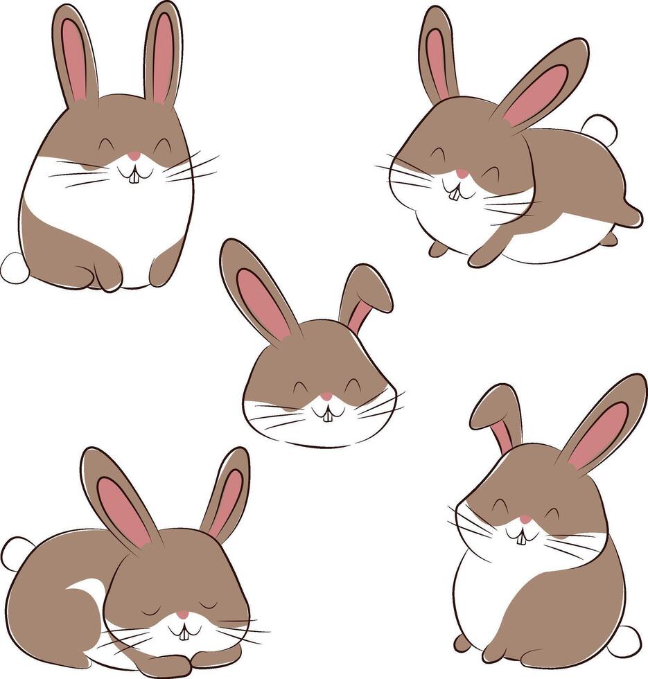 Adorable Fatty Rabbit vector