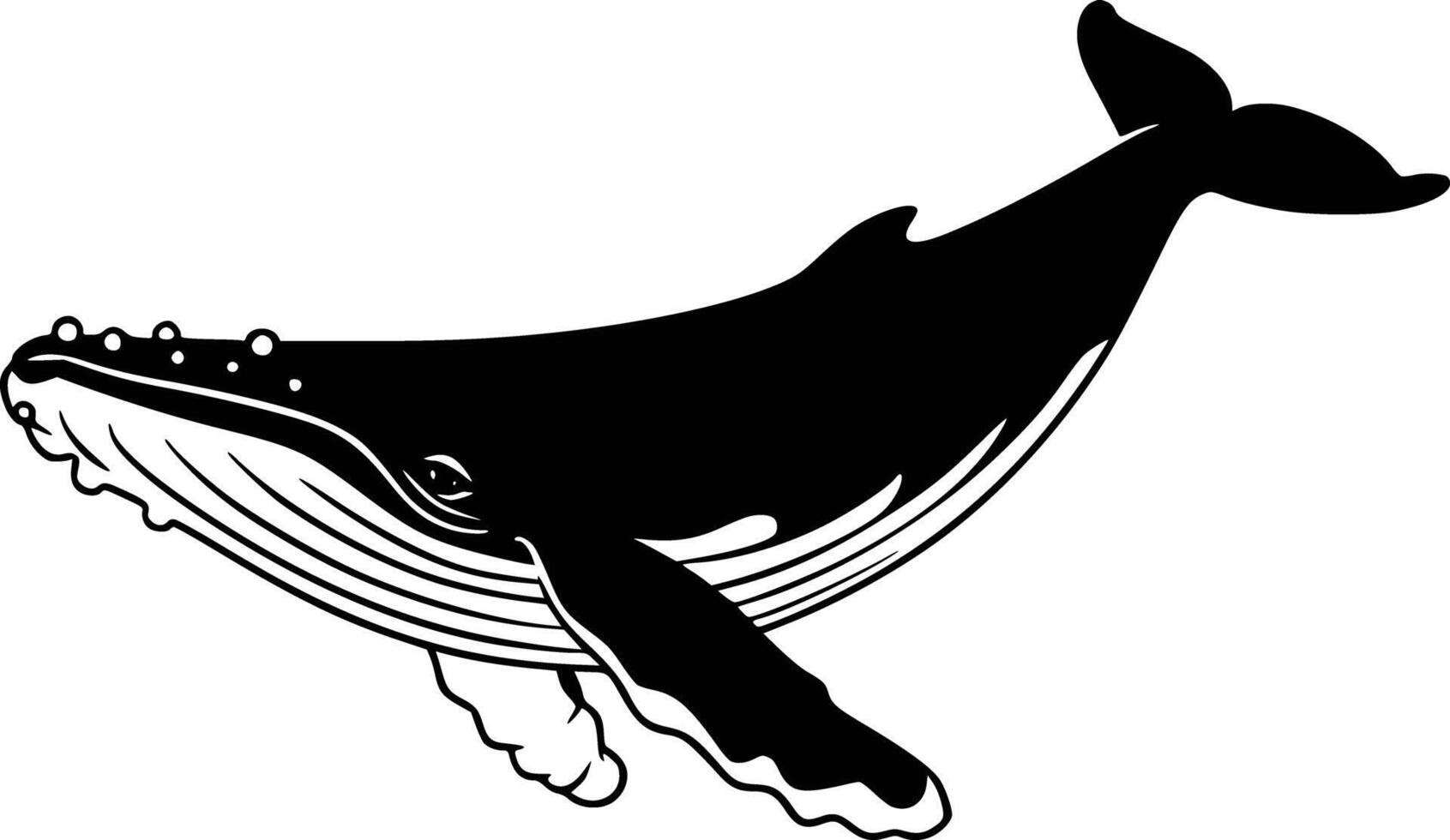Black and white bold illustrations of a whale, isolated on white background. vector