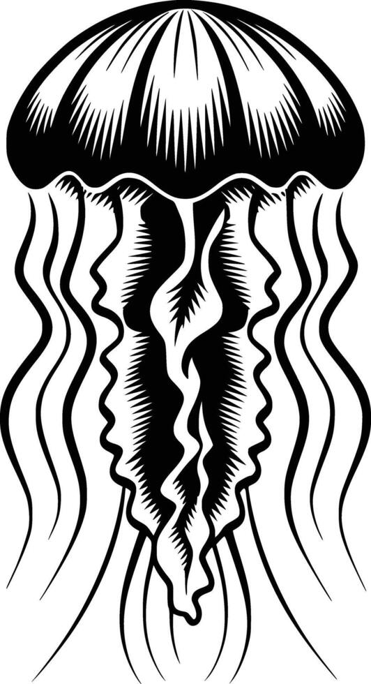 Black and white bold illustrations of a jellyfish, isolated on white background. vector