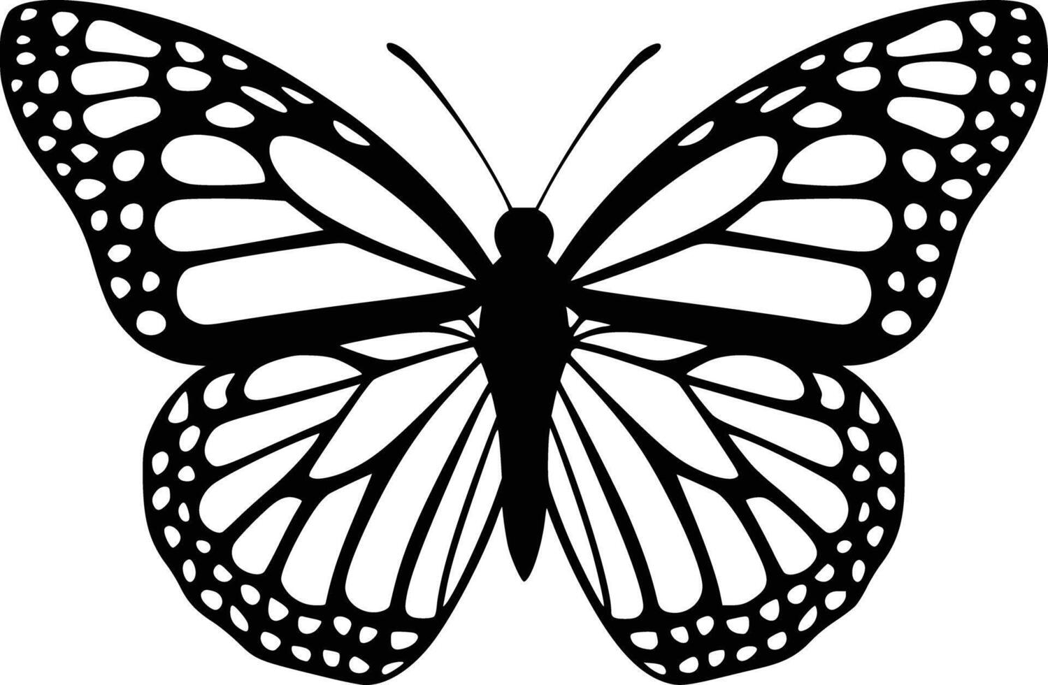 Black and white bold illustrations of a butterfly, isolated on white background. vector