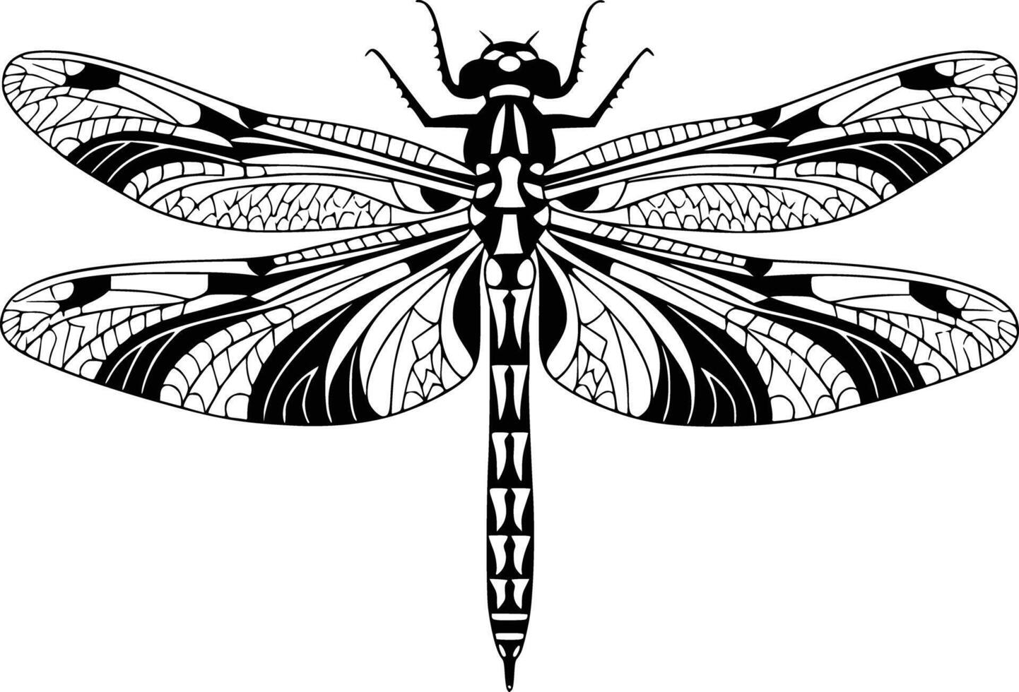 Black and white bold illustrations of a dragonfly, isolated on white background. vector