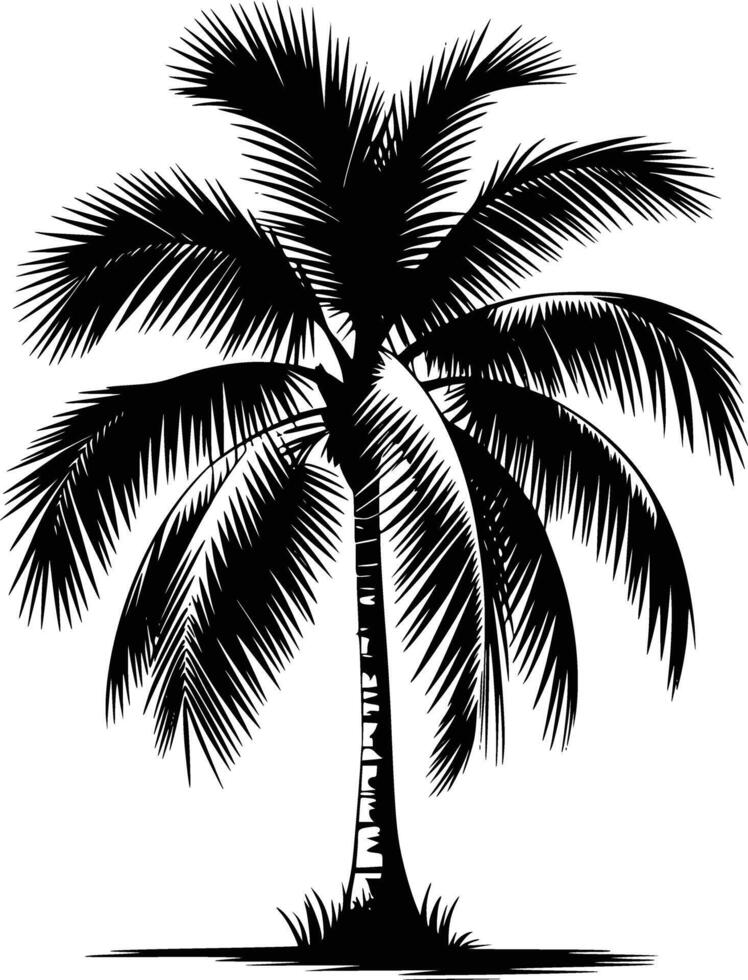 Black and white bold illustrations of a palm tree, isolated on white background. vector