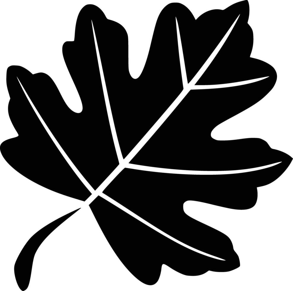 Black and white bold illustrations of a falling leaf, isolated on white background. vector