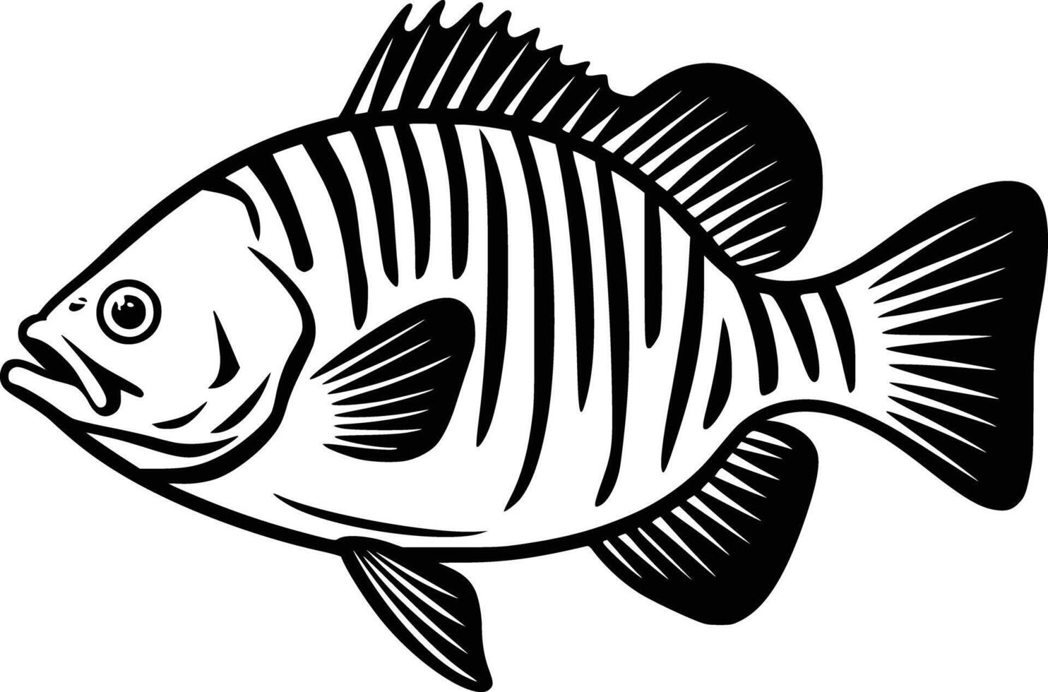 Black and white bold illustrations of a fish swimming, isolated on white background. vector