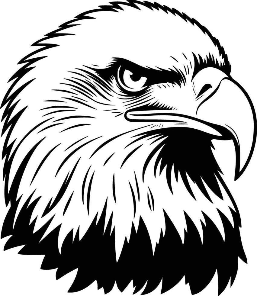 Black and white bold illustrations of a detailed eagle head, isolated on white background. vector