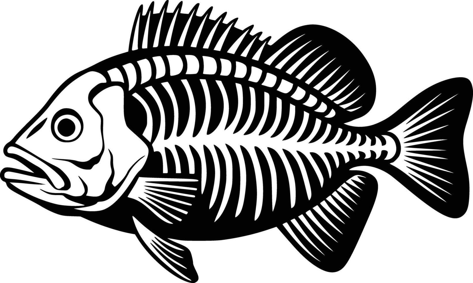 Black and white bold illustrations of a fish skeleton, isolated on white background. vector