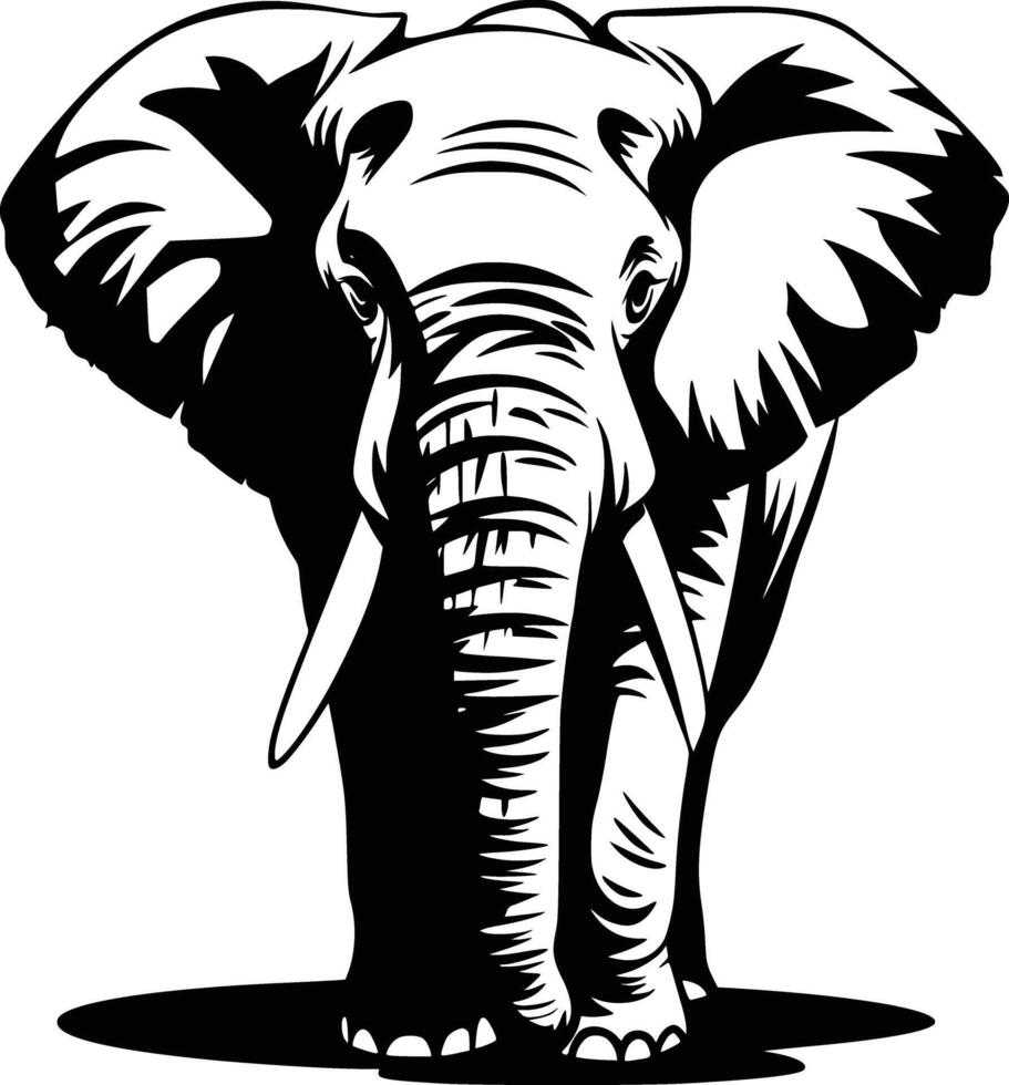 Black and white bold illustrations of a majestic elephant, isolated on white background. vector