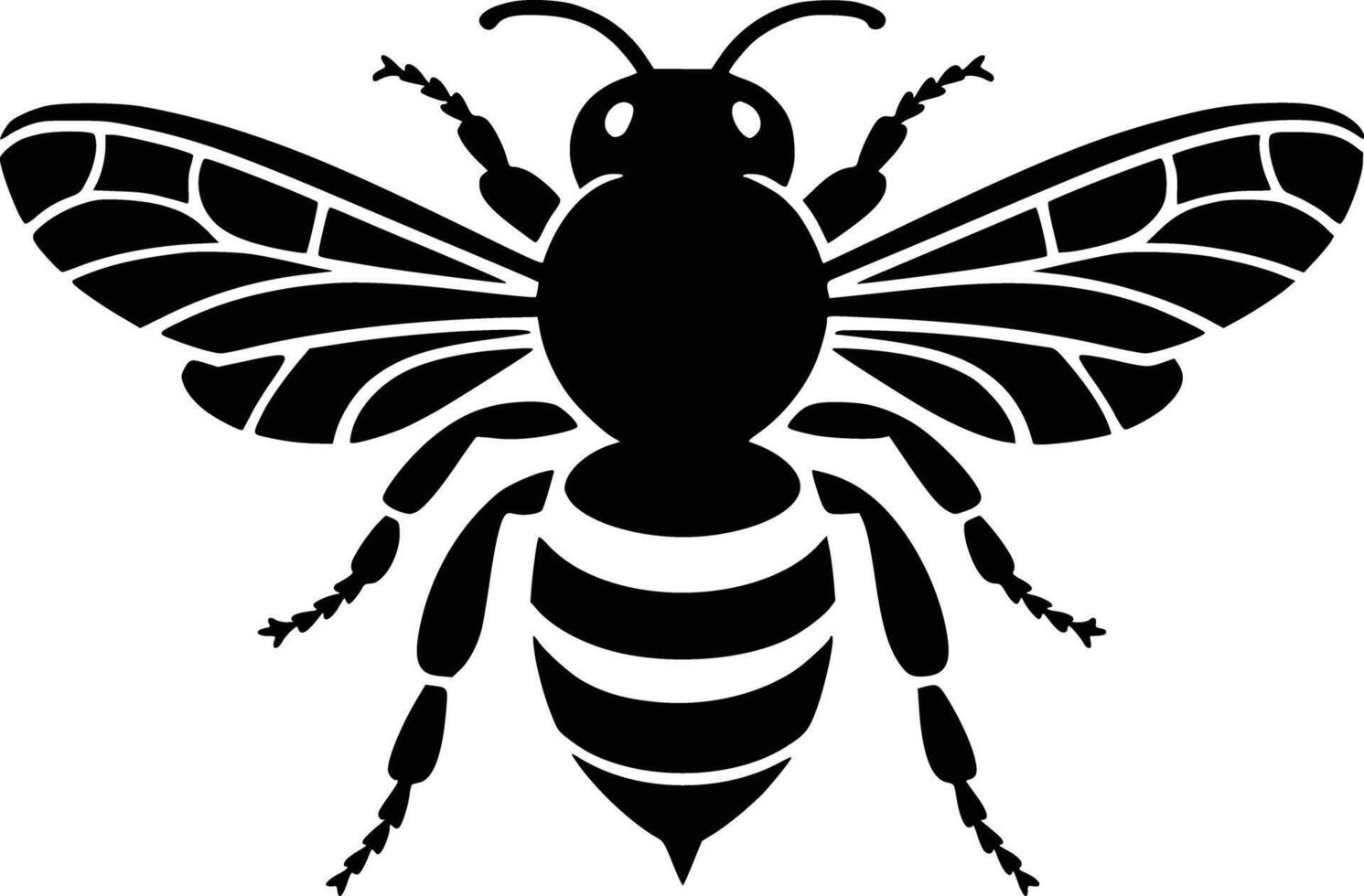 Black and white bold illustrations of a honey bee, isolated on white background. vector