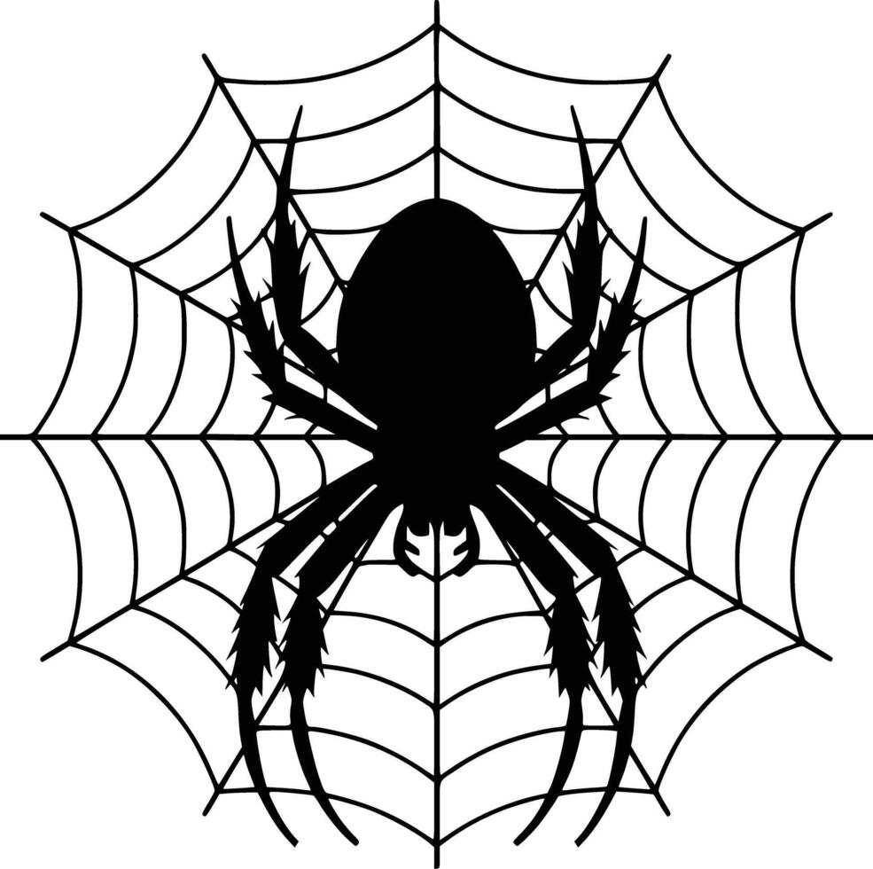 Black and white bold illustrations of a spider weaving web, isolated on white background. vector