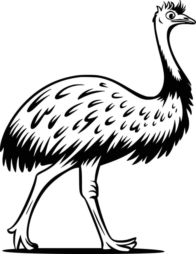Black and white bold illustrations of a emu walking, isolated on white background. vector