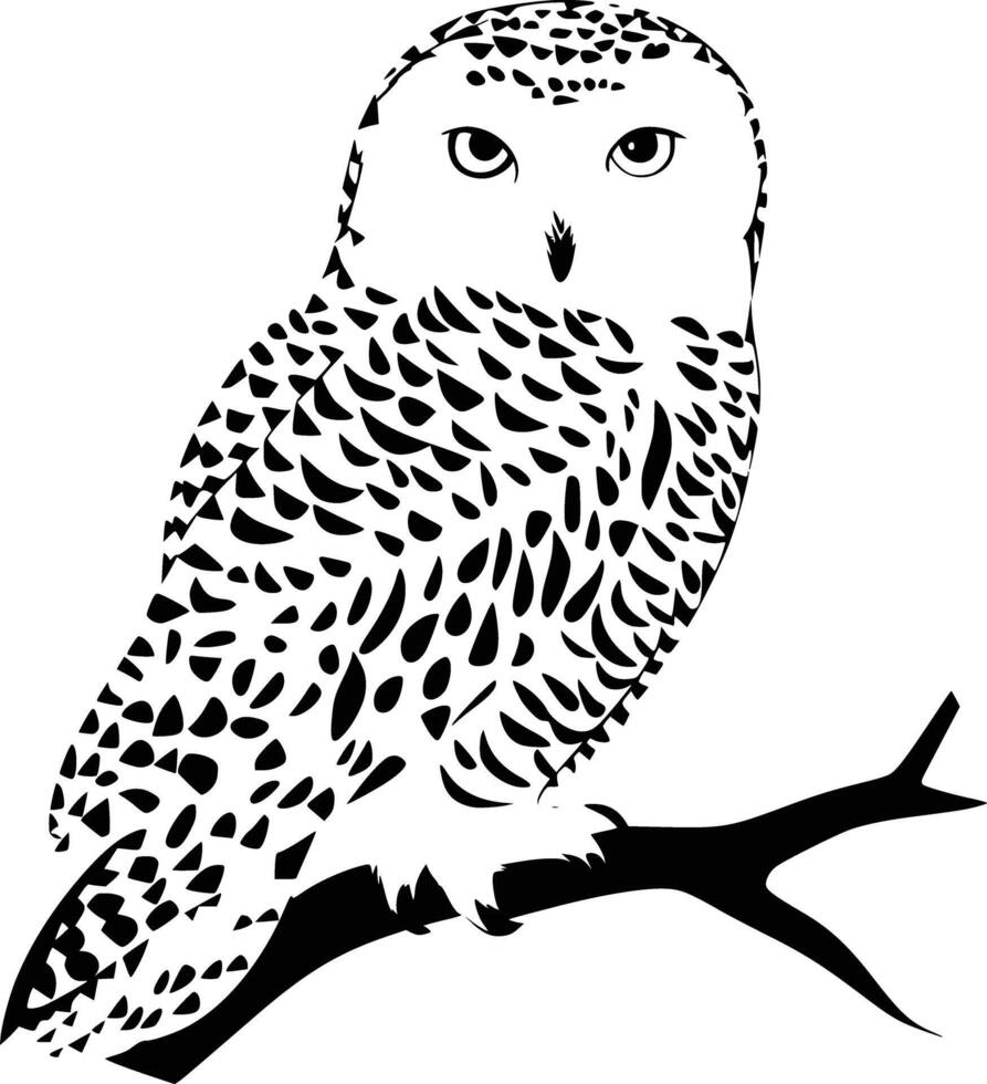Black and white bold illustrations of a sProwy owl, isolated on white background. vector