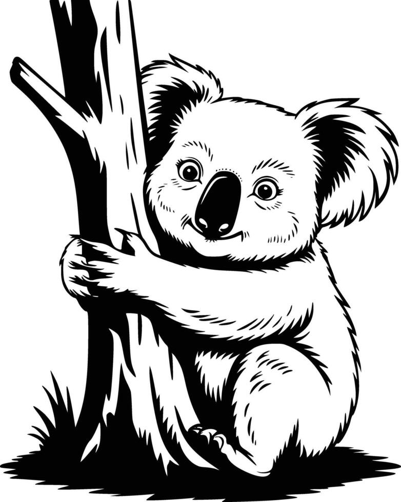 Black and white bold illustrations of a koala hugging tree, isolated on white background. vector
