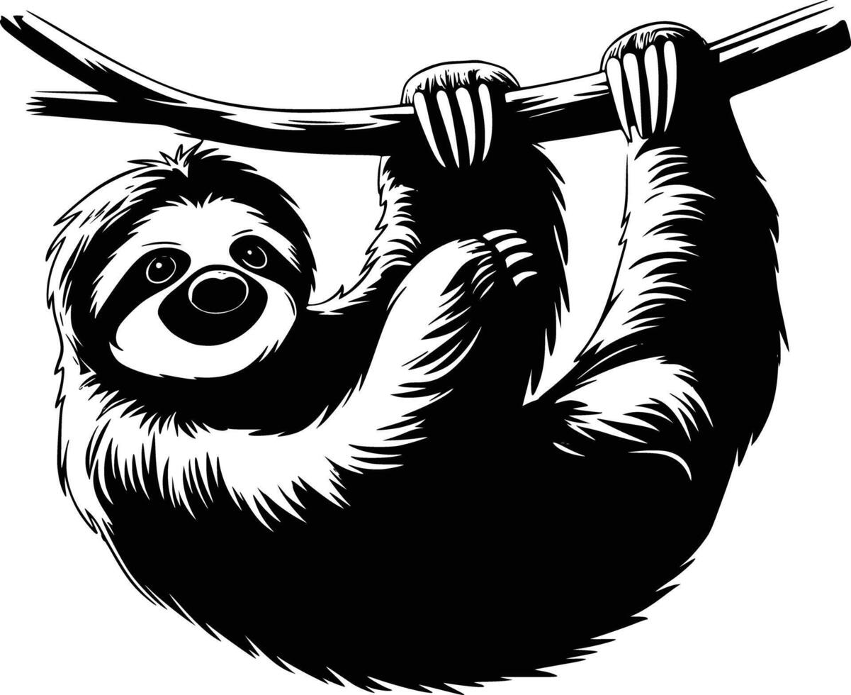 Black and white bold illustrations of a sloth hanging, isolated on white background. vector