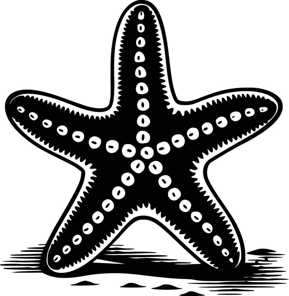 Black and white bold illustrations of a starfish on sand, isolated on white background. vector