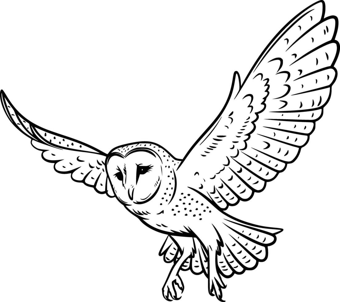 Black and white bold illustrations of a barn owl in flight, isolated on white background. vector