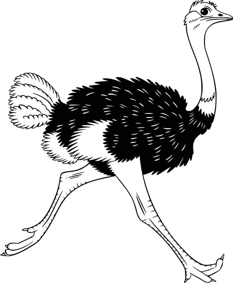 Black and white bold illustrations of a ostrich running, isolated on white background. vector