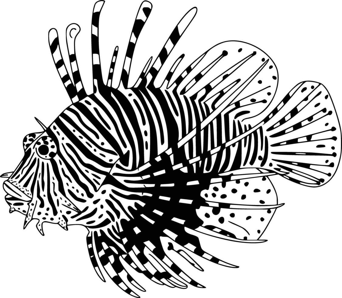 Black and white bold illustrations of a lionfish spines spread, isolated on white background. vector