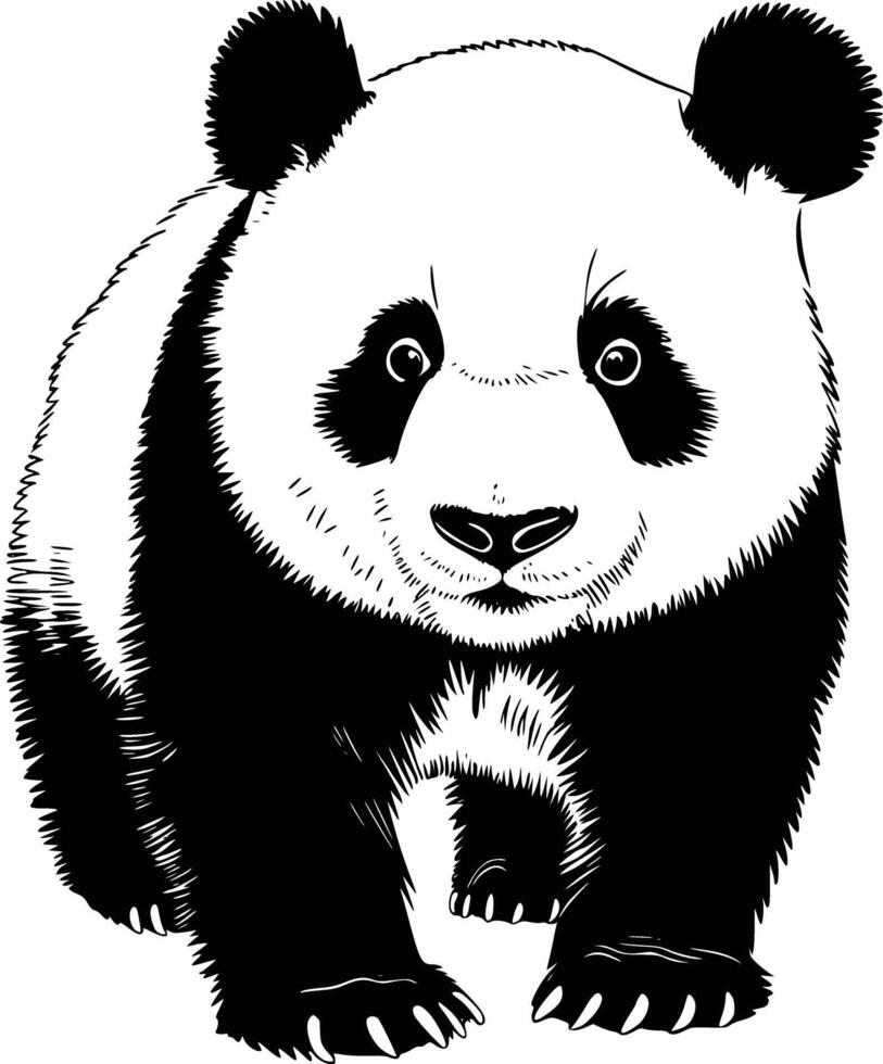 Black and white bold illustrations of a panda, isolated on white background. vector