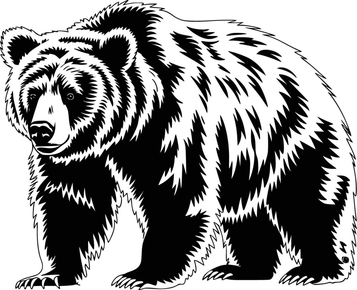 Black and white bold illustrations of a grizzly bear, isolated on white background. vector