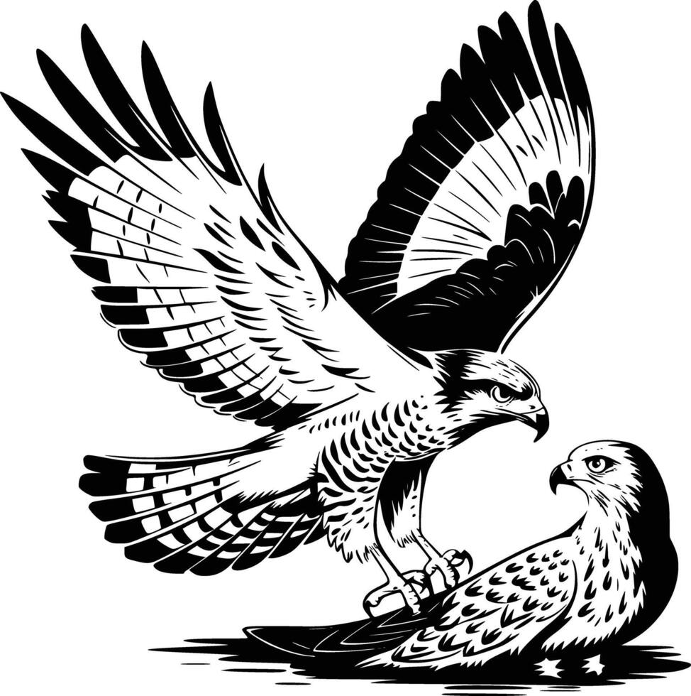 Black and white bold illustrations of a hawk hunting prey, isolated on white background. vector