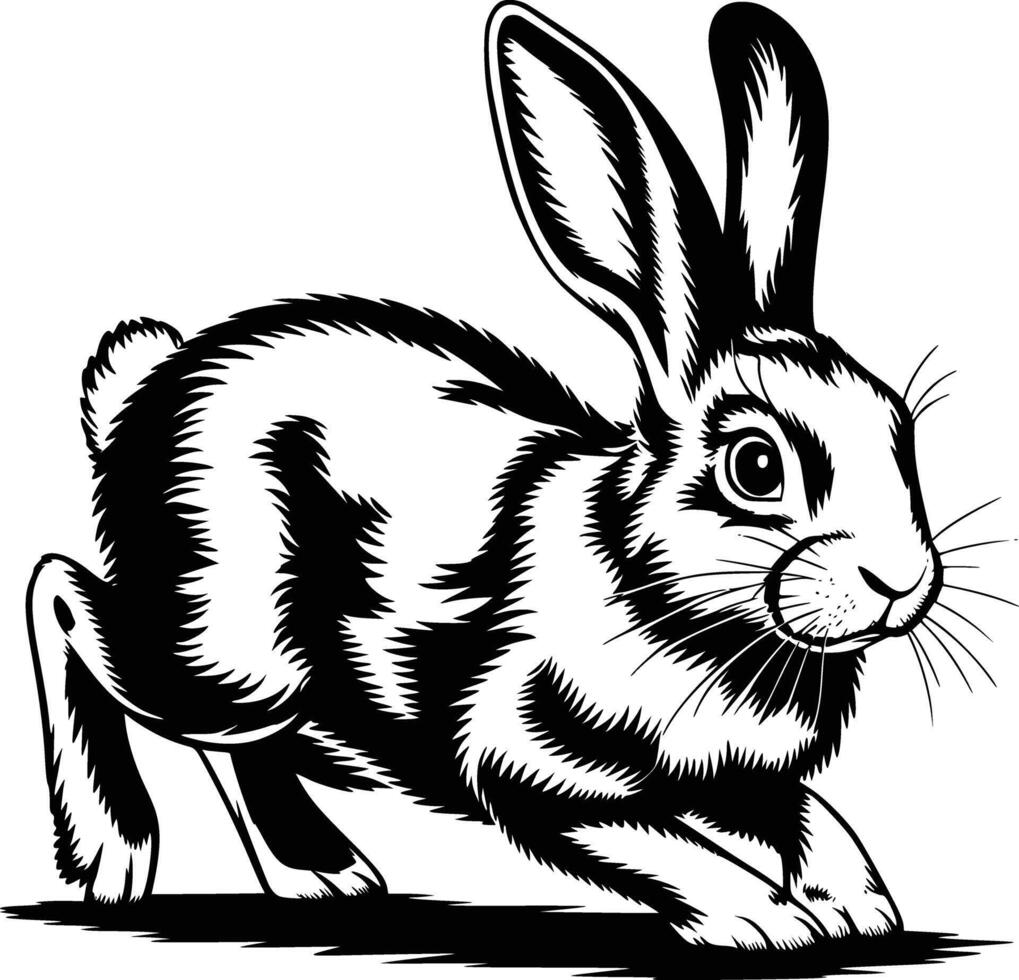Black and white bold illustrations of a rabbit hopping, isolated on white background. vector