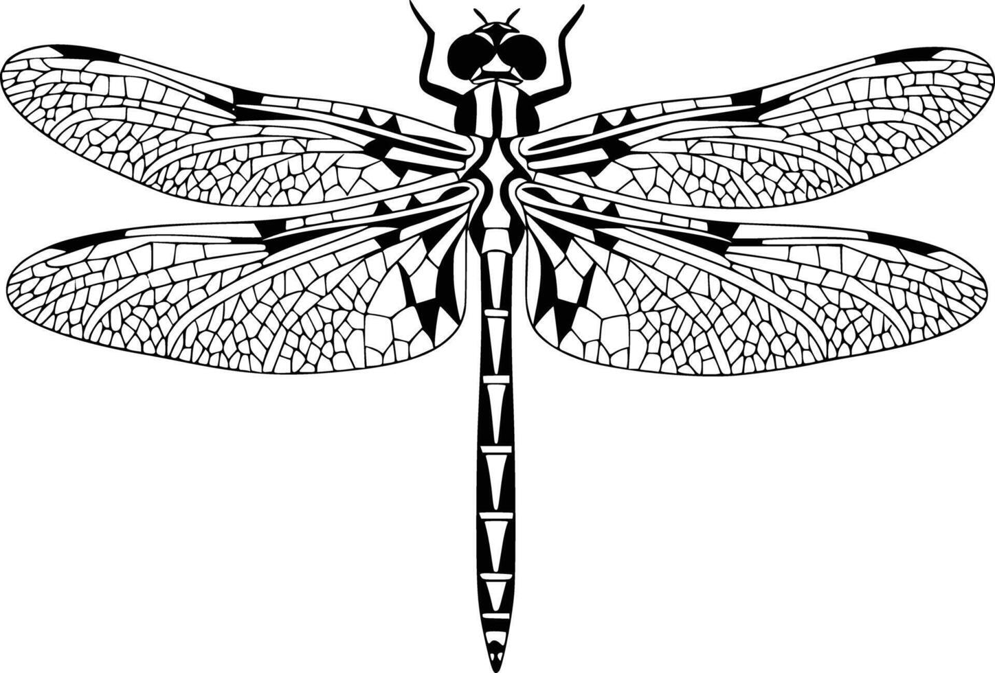 Black and white bold illustrations of a detailed dragonfly, isolated on white background. vector