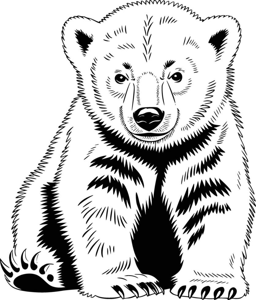 Black and white bold illustrations of a polar bear cub, isolated on white background. vector