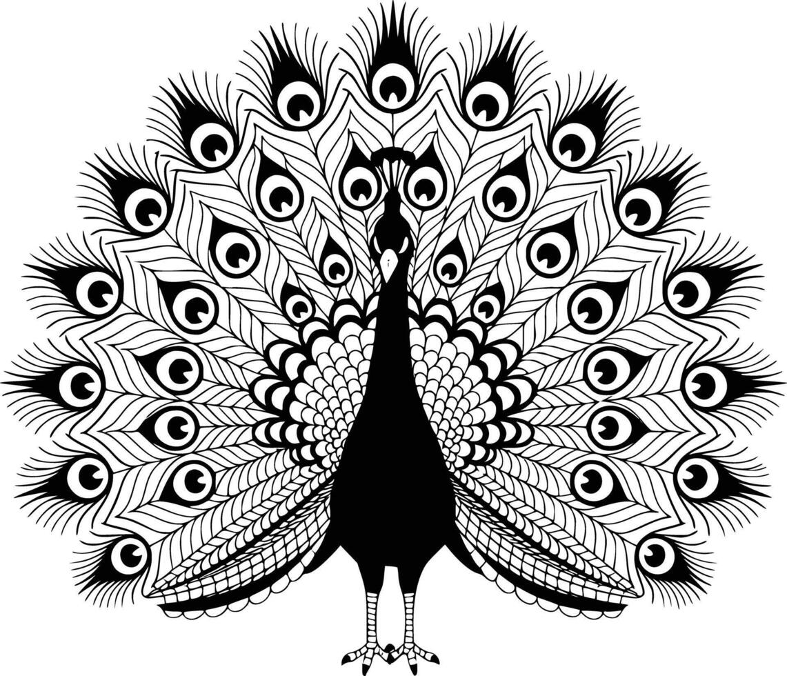 Black and white bold illustrations of a peacock, isolated on white background. vector