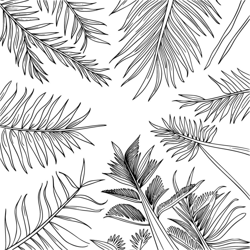 Black and white bold illustrations of a rainforest caPropy, isolated on white background. vector