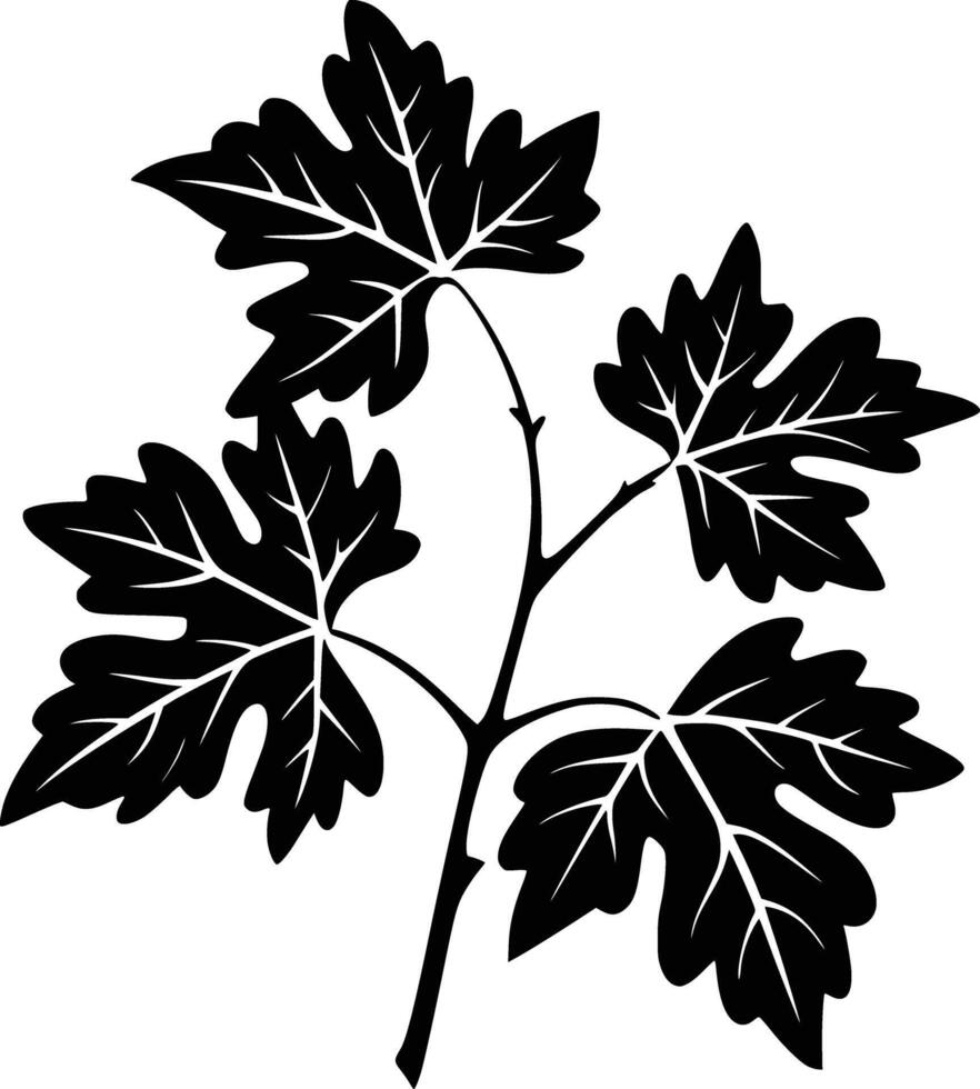 Black and white maple leaf clip art vector