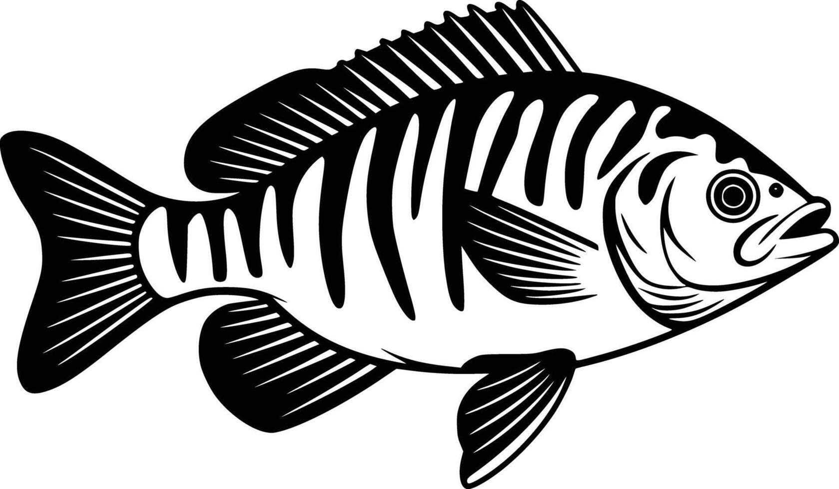 A fish with stripes on its body is shown vector