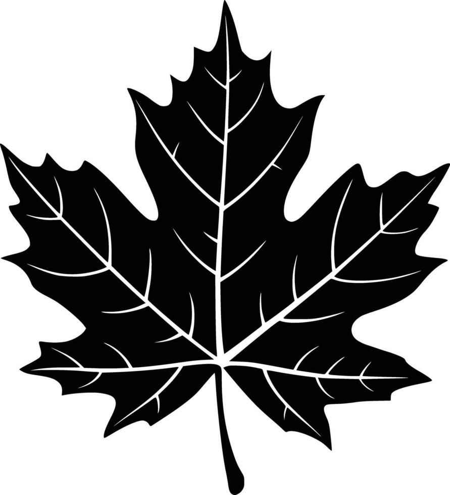 Maple leaf clip art vector