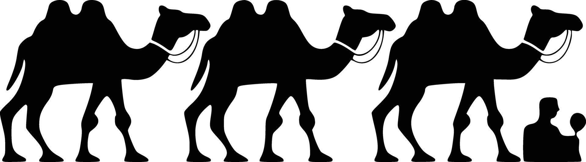 Three camels are standing in a line with a bottle of wine vector