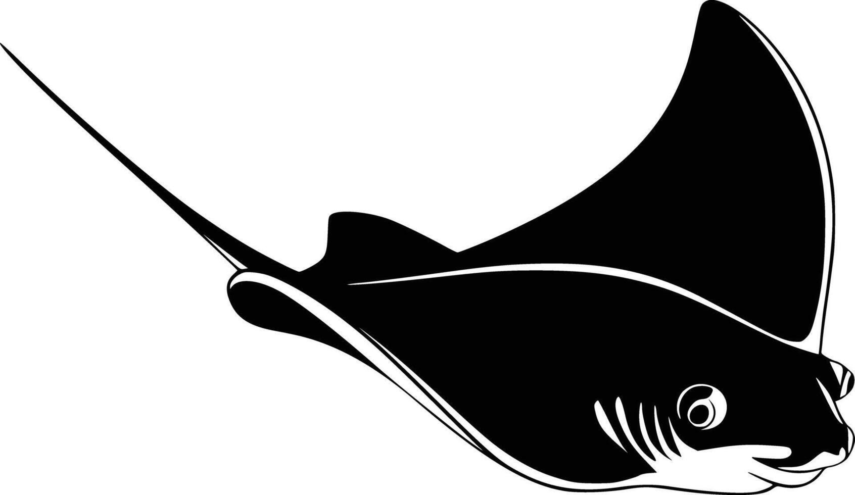A black and white illustration of a sting ray vector