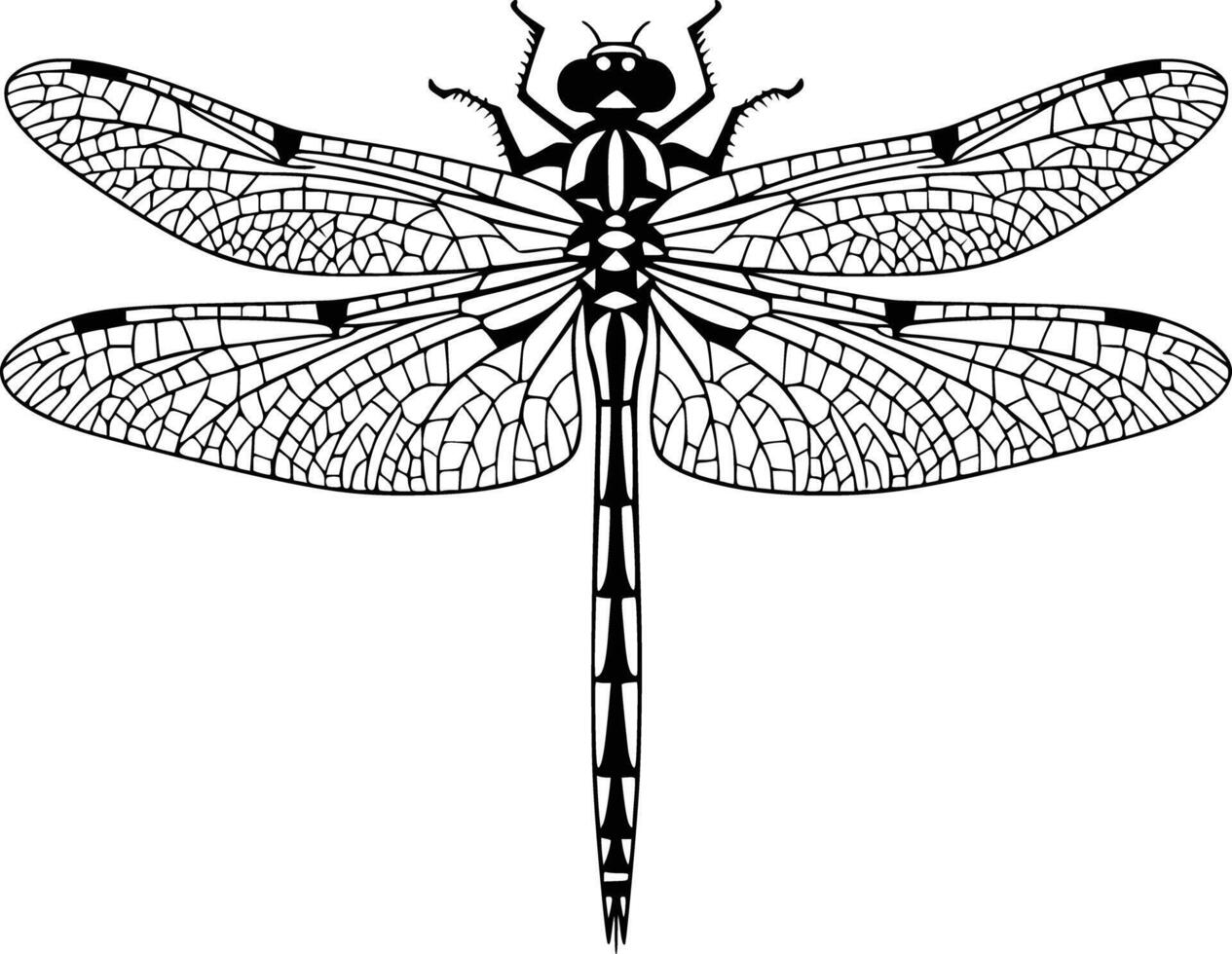 Dragonfly coloring pages free printable coloring pages vector