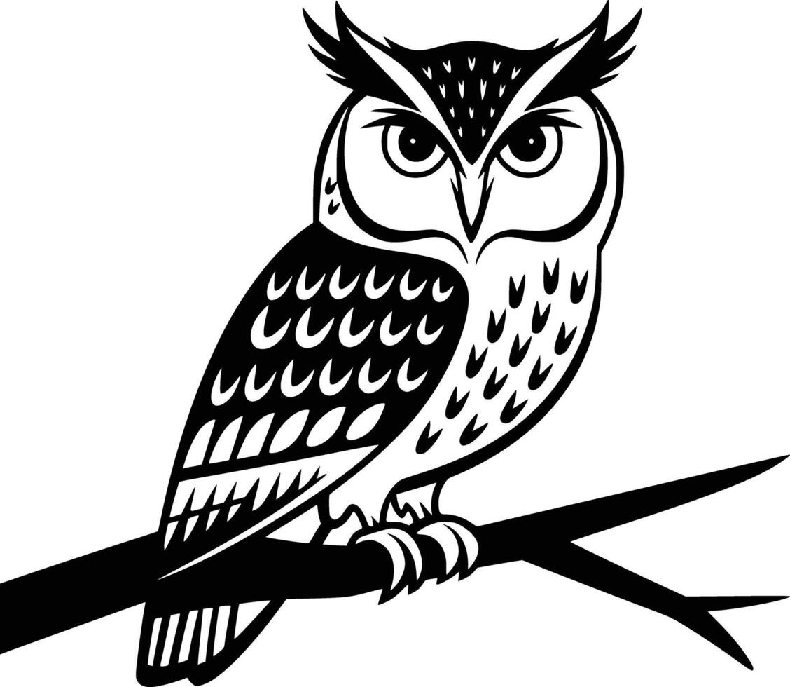 Owl on branch vector