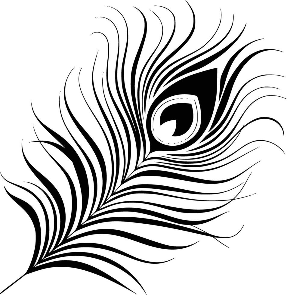 A black and white peacock feather on a white background vector