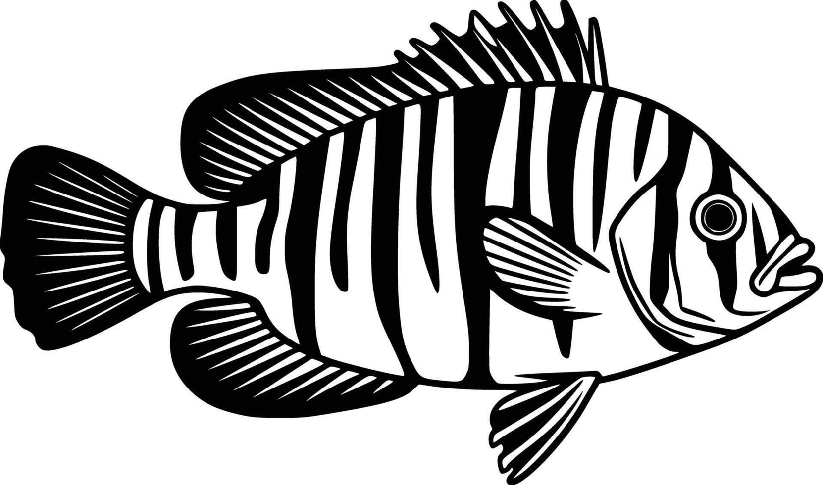 A black and white striped fish on a white background vector