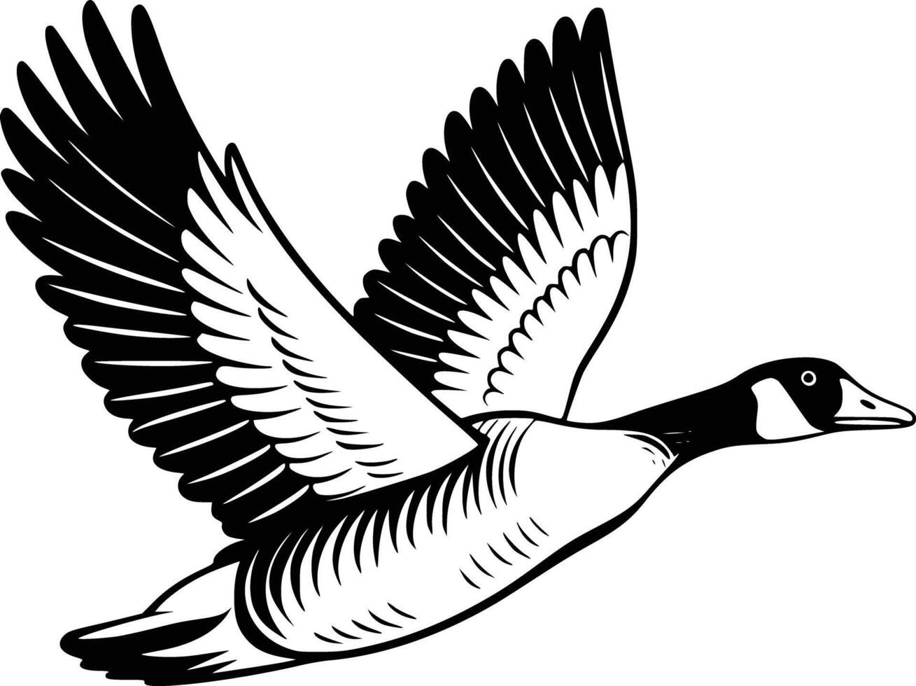 A black and white drawing of a goose flying vector