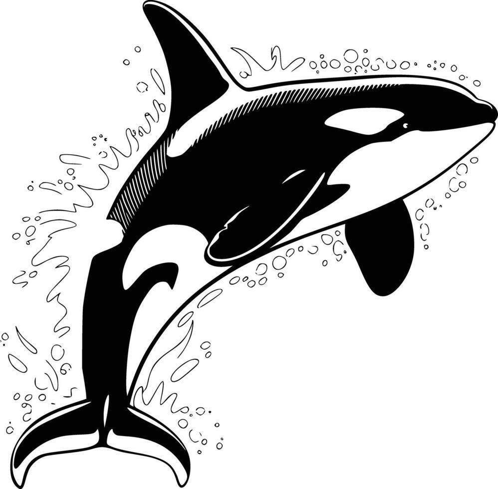 Black and white orca whale clip art vector