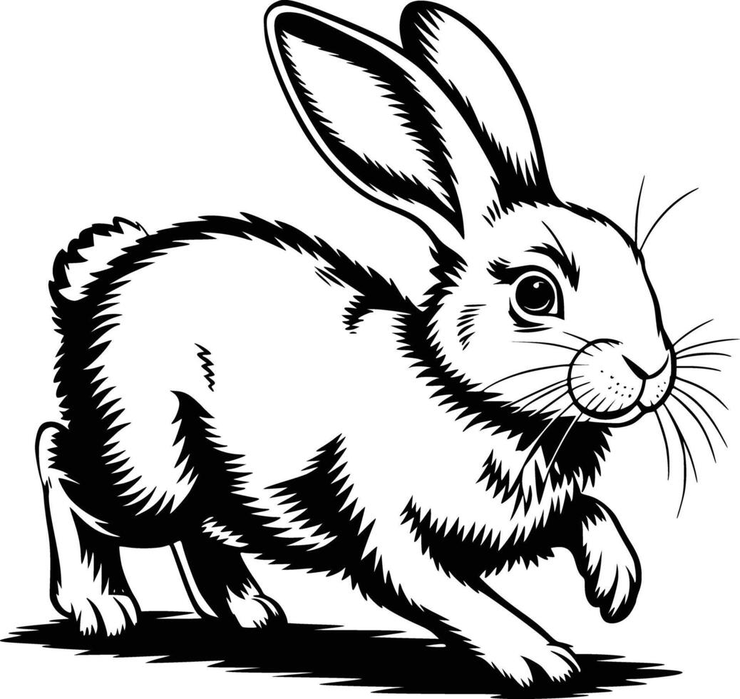 A black and white drawing of a rabbit vector