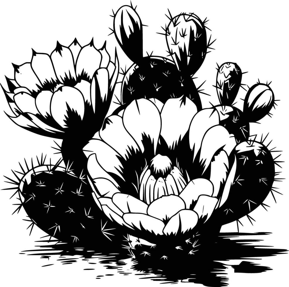 Cactus flowers coloring pages vector
