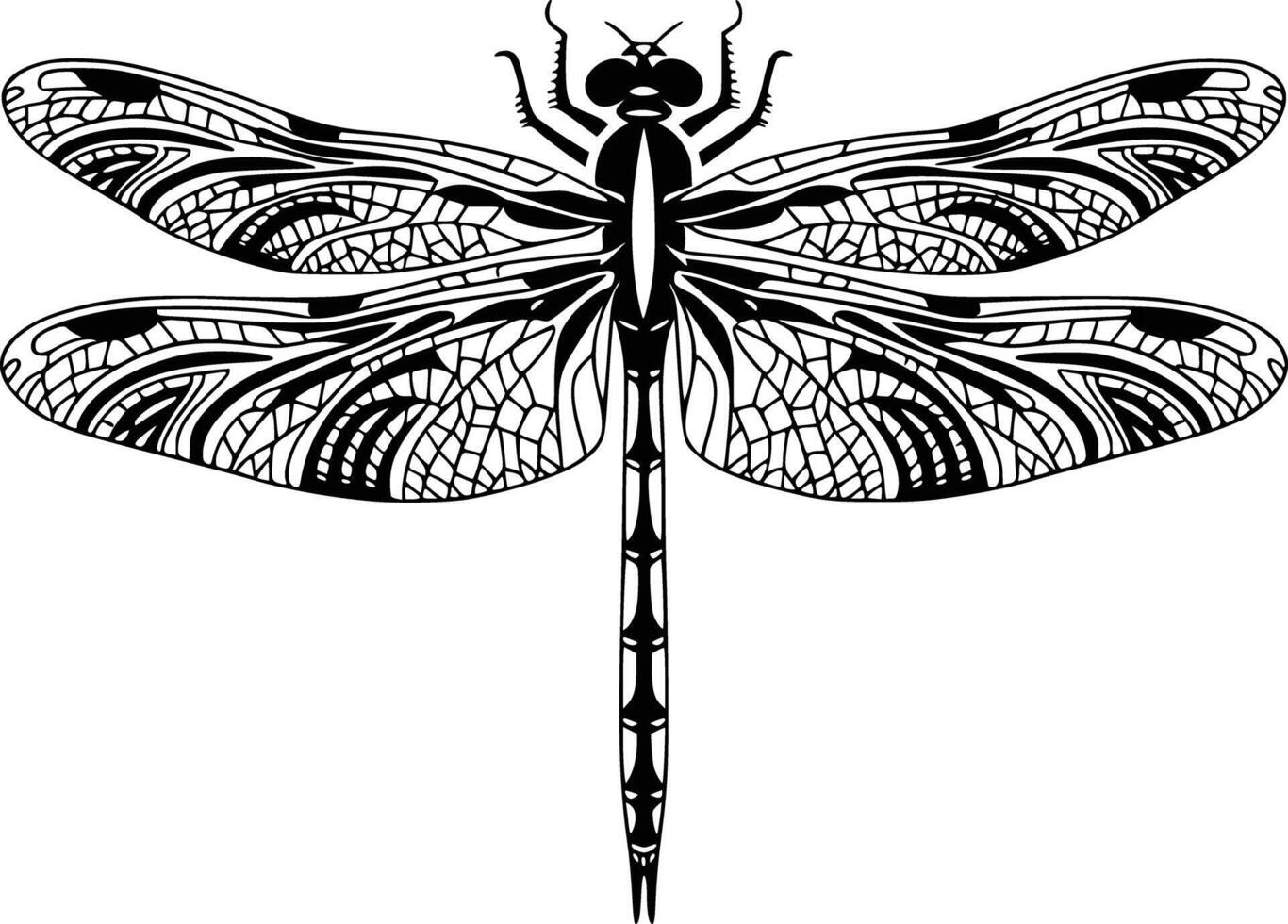 Dragonfly tattoo design vector