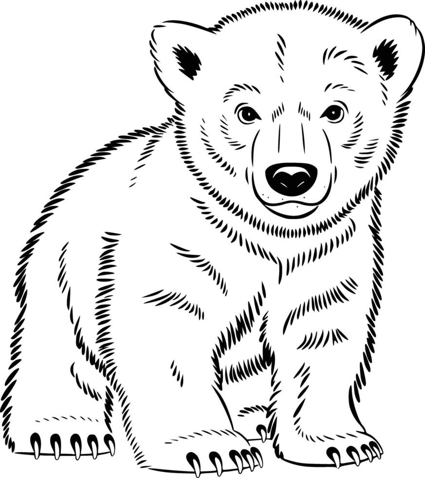 Polar bear coloring pages vector