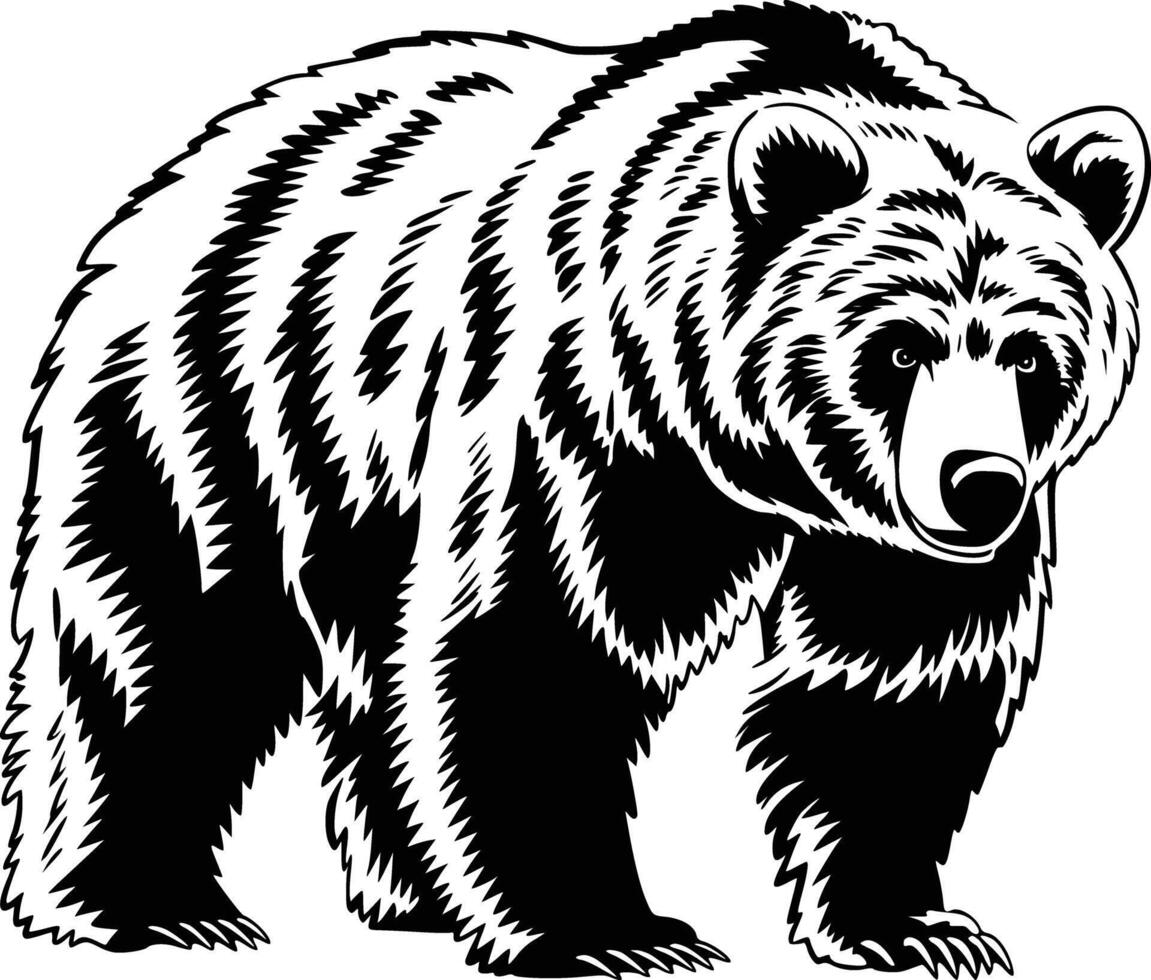 A black and white bear on a white background vector