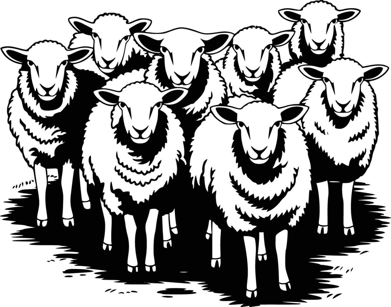 Sheep black and white vector