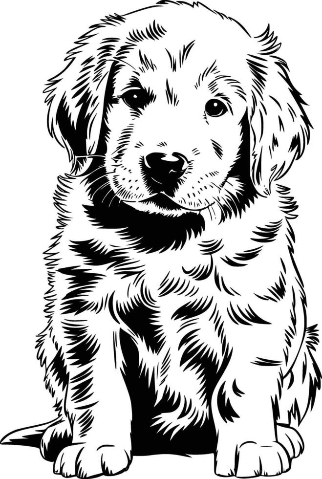 A black and white drawing of a puppy vector