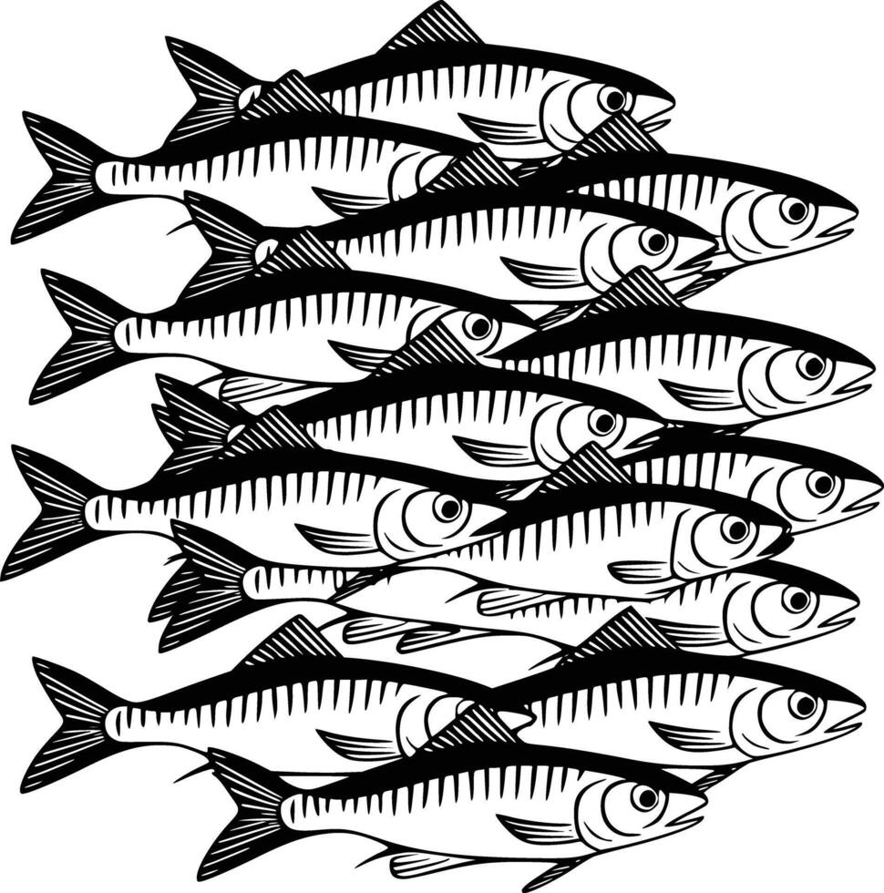 A group of fish on a white background and white isolated background vector