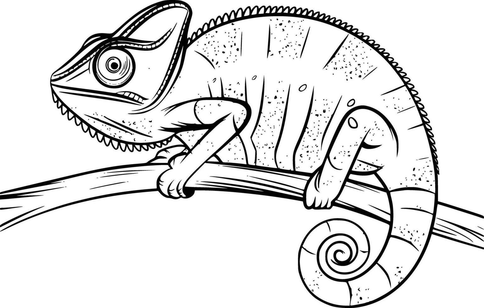 Chameleon coloring pages vector